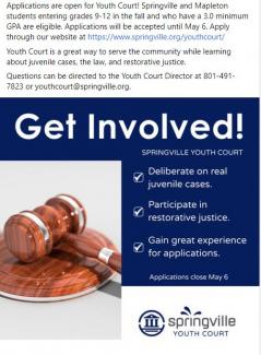 Springville youth court information flyer 